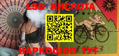 мдпв Кингисепп