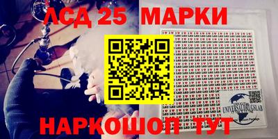 мдпв Кингисепп