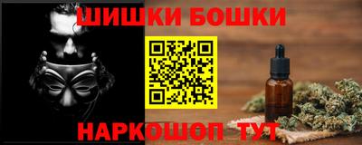 мдпв Кингисепп