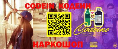 мдпв Кингисепп